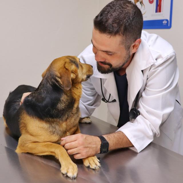 Dr. Leandro Gheler Costa — Especialista em Clínica Médica e Cirúrgica Especialista em Nefrologia, Urologia e Nefrointesivismo na Vit Vet, São Carlos