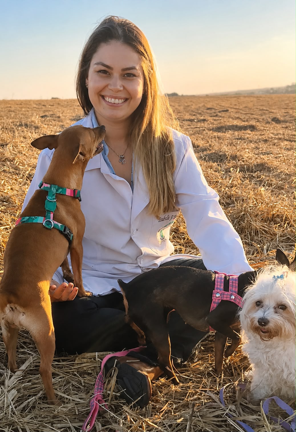 Dra. Isabela Fernandes Pasciare — Ultrassonografia Veterinária na Vit Vet, São Carlos